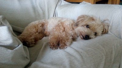 Moje místo na křesle