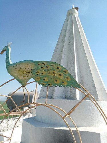 Hrobka jezídského šejcha s posvátným pávem