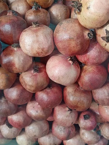 Granátová jablíčka