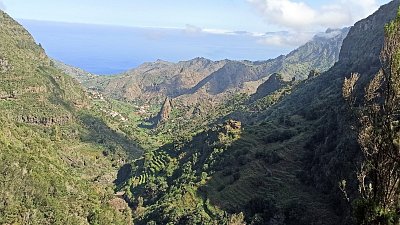 pohled na kousek zarostlé kaldery s pralesem