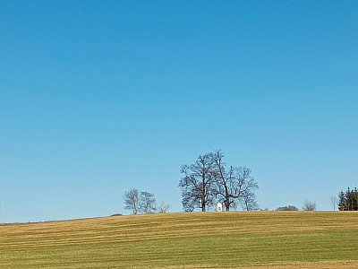 Kaplička mezi lipami