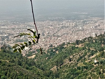 Pohled na město Blida