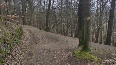 Už uháním raději dolů, fičí silný vítr, shazuje větve.