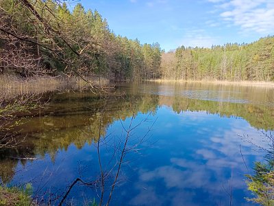 Kamenný rybník pod Hraničním kamenem.