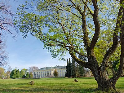 V zámecké zahradě