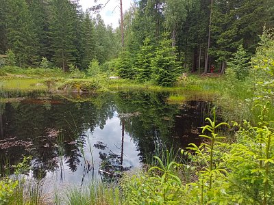 Kaskáda rybníčků