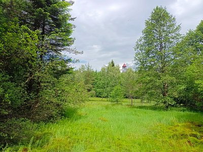 Mokřadla a rašeliniště.