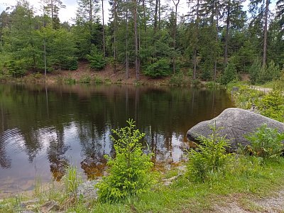 Rašelinová jezírka