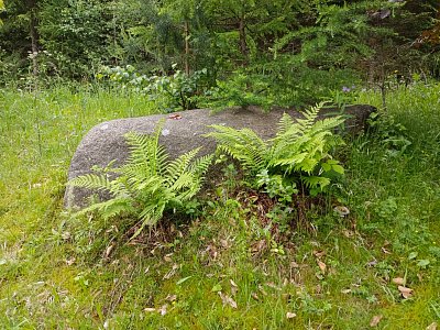 Balvany, kam se podíváš.