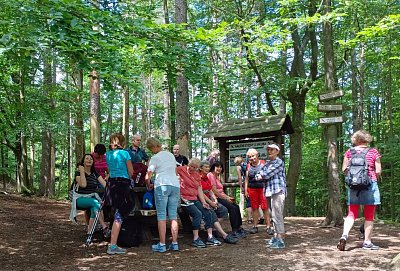 Parta Čtvrtečníků