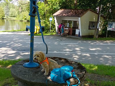 Před odjezdem z Mostů.