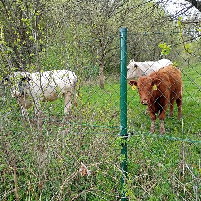 My tři bráchové (nebo sestřičky?)