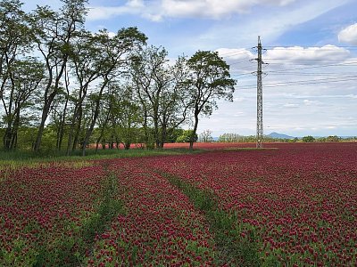 Kolem a dokola lánu