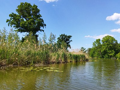 A nyní se kocháme okolní krajinou během plavby po Černé Dyji.