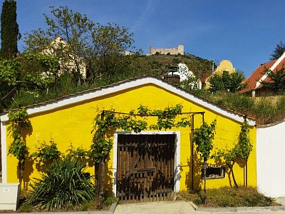 Vinné sklípky v Pavlově a v pozadí hrad Děvičky