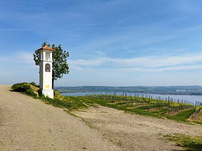 Kaplička, vinice a Nové Mlýny v Pavlově