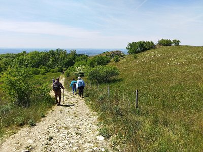 Cesta zpět z Děvína