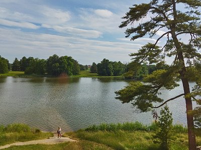 U vody byl celou dobu pár mlaďochů, kteří se tam stále muchlovali.