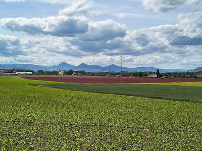 Zleva Milešovka, Lovoš a Kletečná