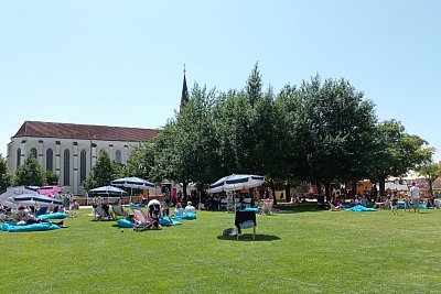 Festivalové zahrady