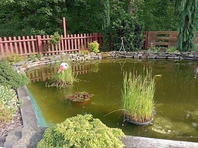 Každá část je půvabná