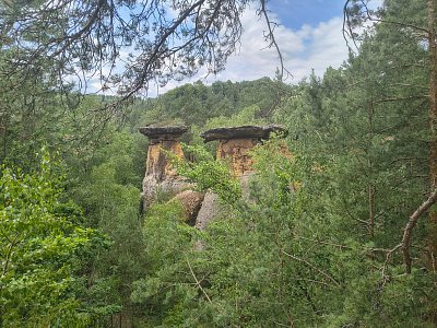 Pokličky se schovávají