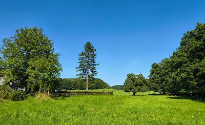 Modrozelený srpen vůkol