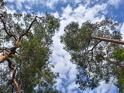 Co si asi povídají?