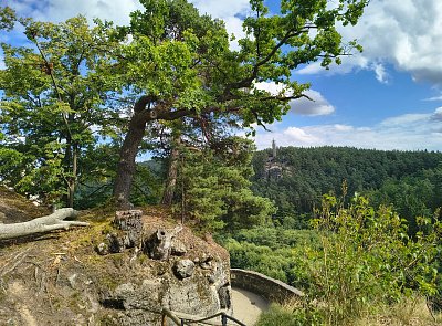 Výhled na rozhlednu přes údolí