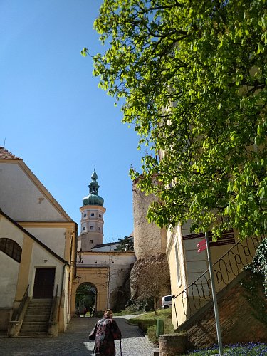 V krásné zeleni je úplně všechno...