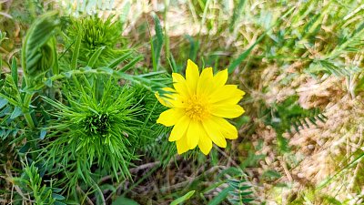 img-20260425-104356-2.jpg