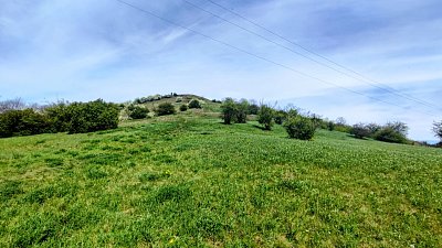 img-20260425-104409-2-1.jpg