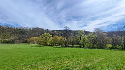 img-20260425-112803-2.jpg