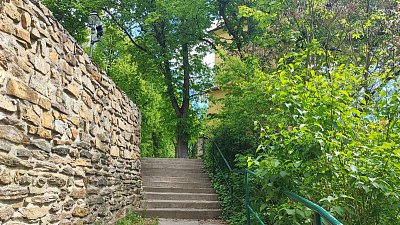img-20260520-111308.jpg