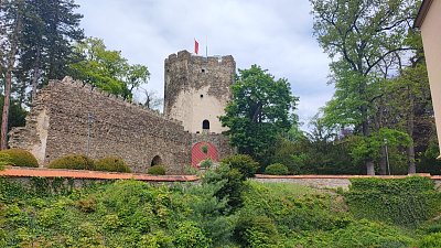img-20260520-112400.jpg
