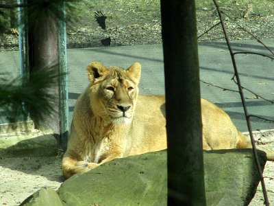 Jóó....íčko přijelo, rozchechtaný...mně teda do smíchu není