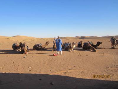 velbloudi jsou připraveni nás provést pouští