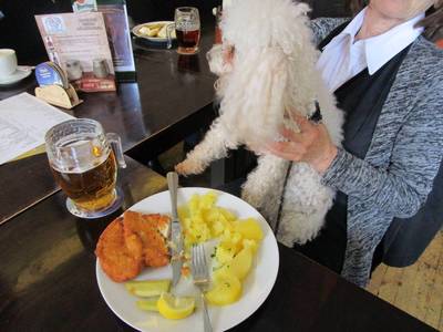 Osudný okamžik-měla to být jen fotka Vendy s řízkem