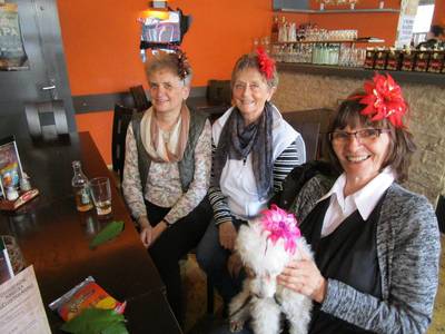 Vendo, vyceň zoubky!