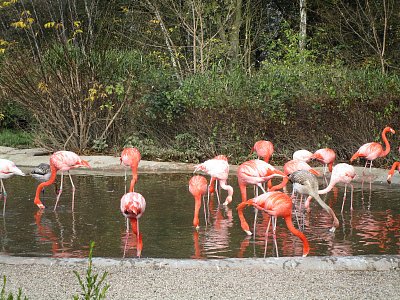 A co pořád hledají ve vodě?