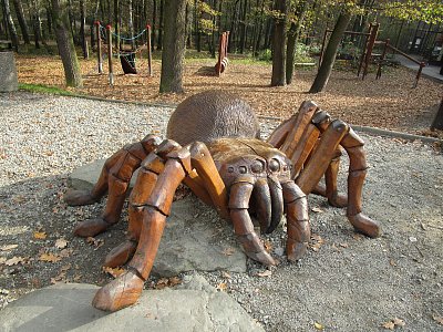 Pavouček pro štěstí