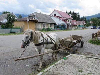 typický obrázek Koločavy