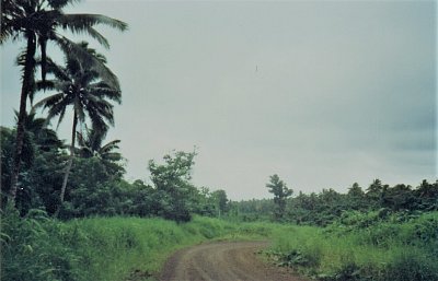 Samoa - prašná silnice ve vnitrozemí Upolu