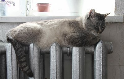 Zvýšením záloh za služby se vyhnete vysokým nedoplatkům