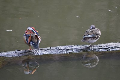 Už se můžu otočit ?