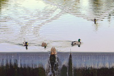 Káč, káč, káč, kačena,....