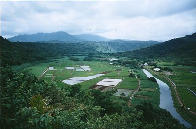 Kauai - údolí Hanalei