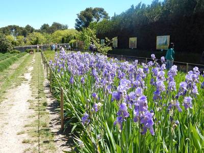 Klášterní zahrada