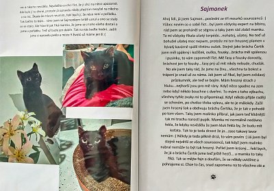 kocici-vzpominky-4.jpg