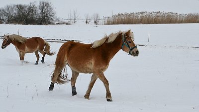 Trochu se proběhnout